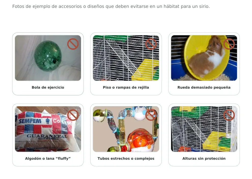 Accesorios que deben evitarse en un hábitat para hámster sirio
