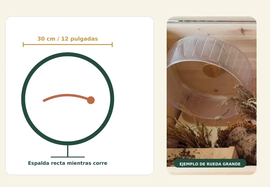 Rueda de 30 centímetros para hámster sirio